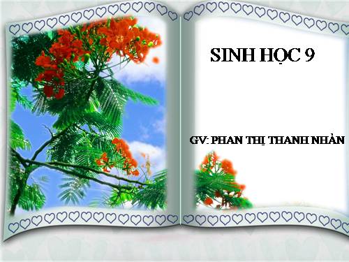 Bài 14. Thực hành: Quan sát hình thái nhiễm sắc thể