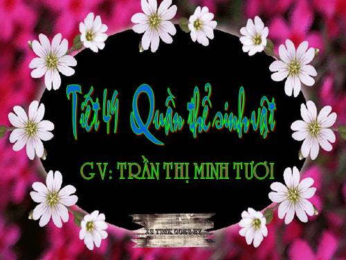 Bài 47. Quần thể sinh vật