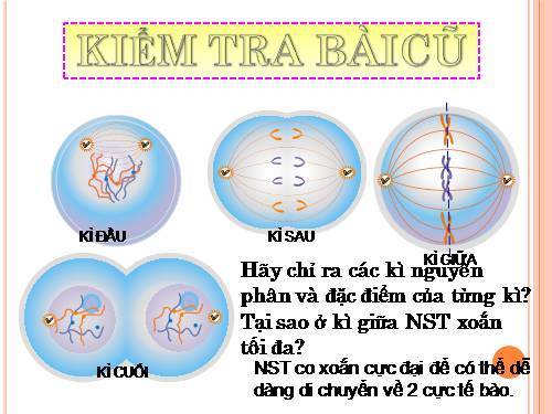 Bài 10. Giảm phân