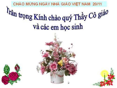 Bài 23. Đột biến số lượng nhiễm sắc thể