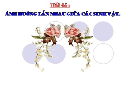 Bài 44. Ảnh hưởng lẫn nhau giữa các sinh vật