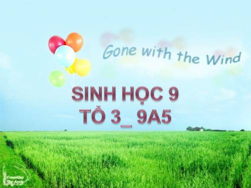 Bài 39. Thực hành: Tìm hiểu thành tựu chọn giống vật nuôi và cây trồng