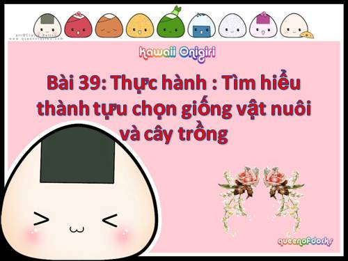 Bài 39. Thực hành: Tìm hiểu thành tựu chọn giống vật nuôi và cây trồng