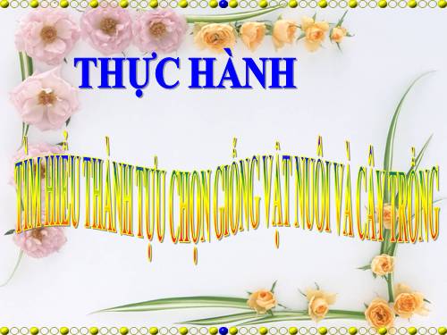 Bài 39. Thực hành: Tìm hiểu thành tựu chọn giống vật nuôi và cây trồng