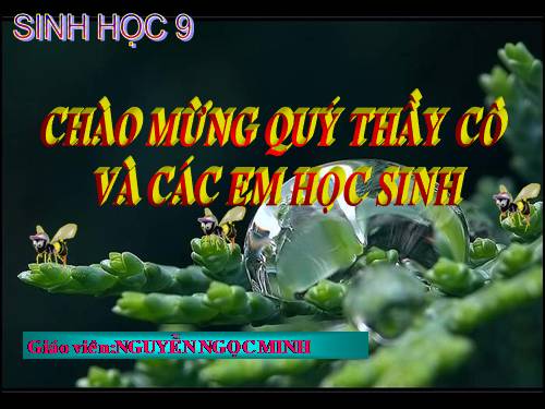 Bài 44. Ảnh hưởng lẫn nhau giữa các sinh vật