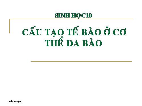 Bài giảng Tế bào_Theo chuẩn E-learning