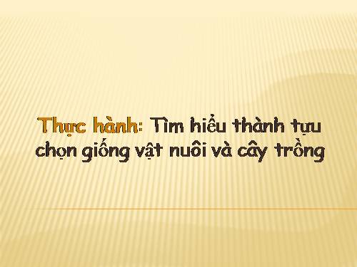 Bài 39. Thực hành: Tìm hiểu thành tựu chọn giống vật nuôi và cây trồng