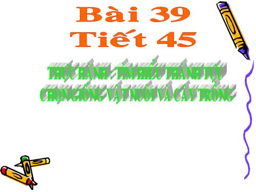 Bài 39. Thực hành: Tìm hiểu thành tựu chọn giống vật nuôi và cây trồng