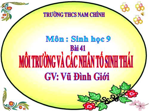 Bài 41. Môi trường và các nhân tố sinh thái