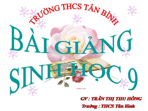 Bài 40. Ôn tập phần Di truyền và biến dị