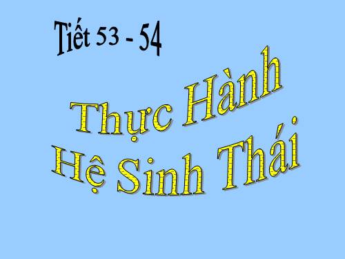 Bài 51. Thực hành: Hệ sinh thái