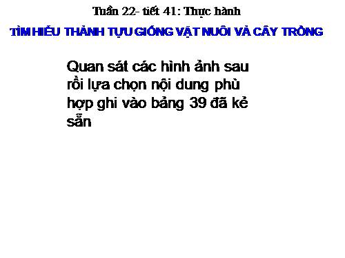 Bài 39. Thực hành: Tìm hiểu thành tựu chọn giống vật nuôi và cây trồng