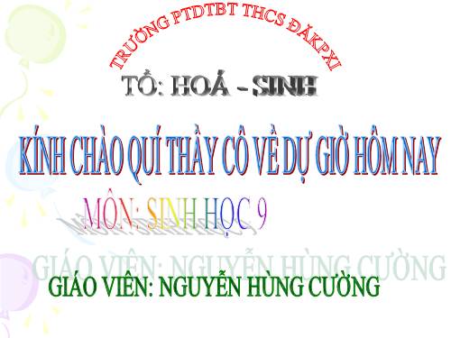 Bài 24. Đột biến số lượng nhiễm sắc thể (tiếp theo)