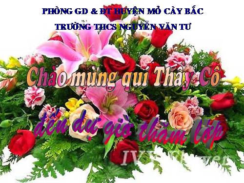 Bài 19. Mối quan hệ giữa gen và tính trạng