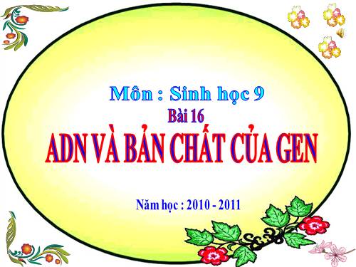 Bài 16. ADN và bản chất của gen