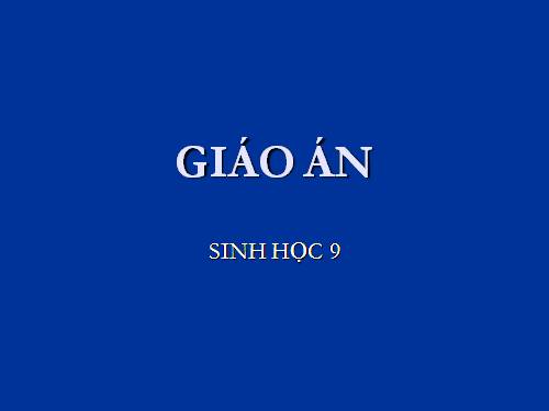 Bài 10. Giảm phân