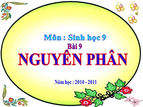 Bài 9. Nguyên phân