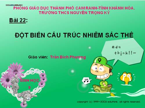 Bài 22. Đột biến cấu trúc nhiễm sắc thể