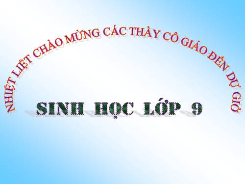 Bài 21. Đột biến gen