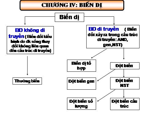 Bài 21. Đột biến gen