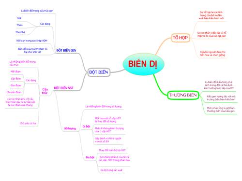 Bản đồ tư duy chương Biến dị