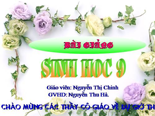 Bài 51. Thực hành: Hệ sinh thái