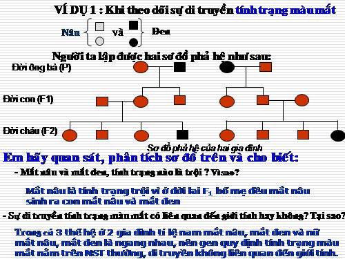 Bài 28. Phương pháp nghiên cứu di truyền người