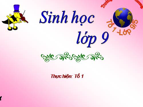 Bài 27. Thực hành: Quan sát thường biến