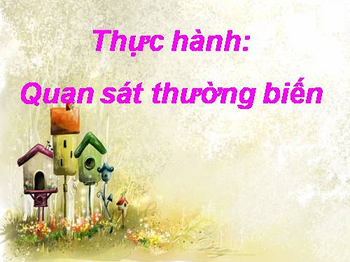 Bài 27. Thực hành: Quan sát thường biến