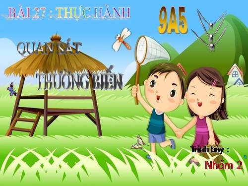 Bài 27. Thực hành: Quan sát thường biến