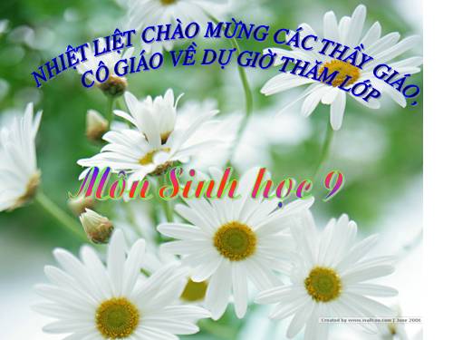 Bài 28. Phương pháp nghiên cứu di truyền người