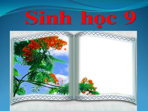 Bài 25. Thường biến