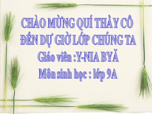 Bài 28. Phương pháp nghiên cứu di truyền người