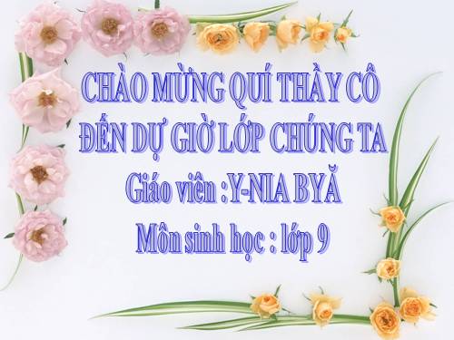 Bài 22. Đột biến cấu trúc nhiễm sắc thể