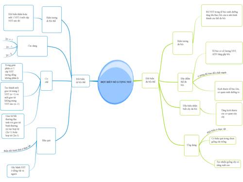 Bản đồ tư duy bài Đột biến Số Lương  NST