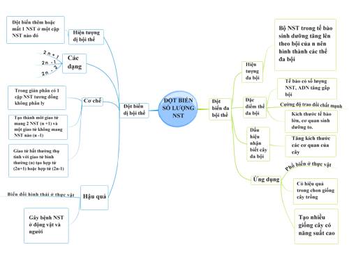 Bản đồ tư duy bài Đột biến số lượng NST