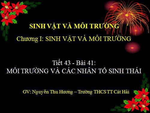 Bài 41. Môi trường và các nhân tố sinh thái