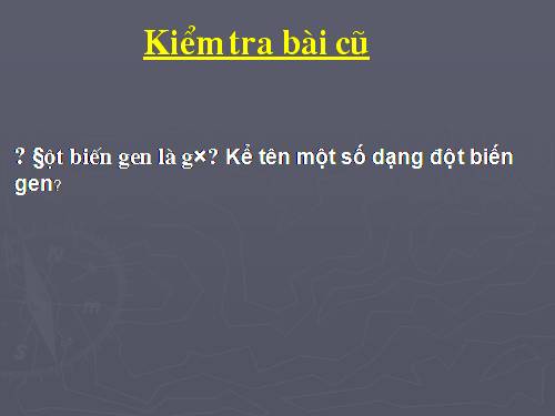 Bài 22. Đột biến cấu trúc nhiễm sắc thể