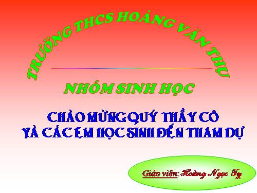 Bài 50. Hệ sinh thái