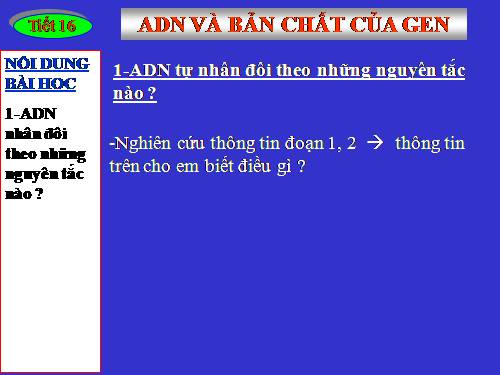Bài 16. ADN và bản chất của gen