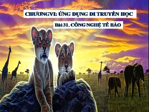 Bài 31. Công nghệ tế bào
