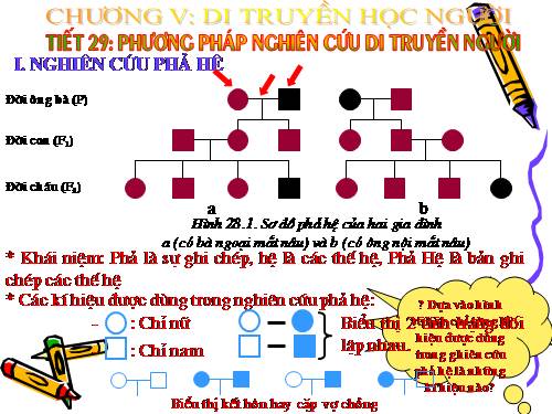 Bài 28. Phương pháp nghiên cứu di truyền người