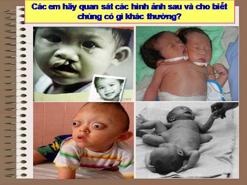 Bài 21. Đột biến gen