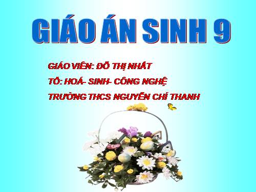 Bài 22. Đột biến cấu trúc nhiễm sắc thể