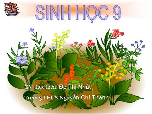 Bài 23. Đột biến số lượng nhiễm sắc thể