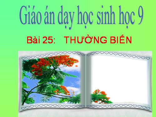 Bài 25. Thường biến
