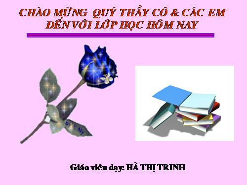 Bài 23. Đột biến số lượng nhiễm sắc thể