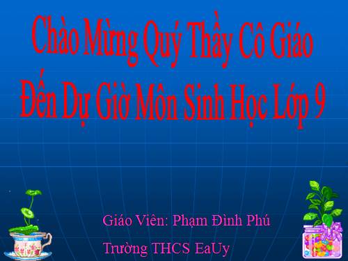 Bài 22. Đột biến cấu trúc nhiễm sắc thể