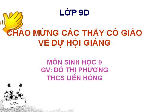 Bài 21. Đột biến gen