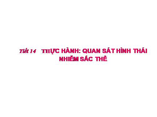 Bài 14. Thực hành: Quan sát hình thái nhiễm sắc thể